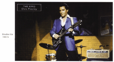 ELVIS and Burns Bison